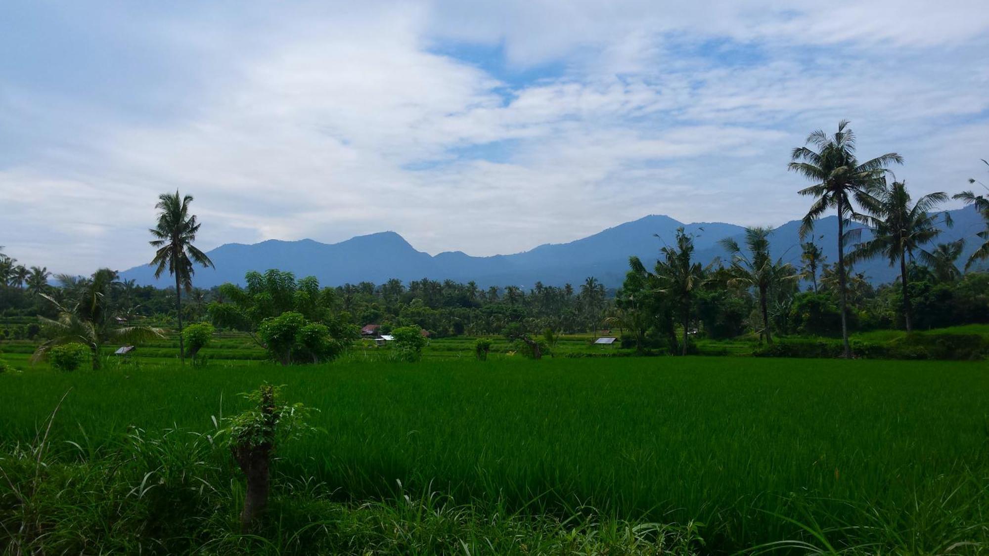 Pondok Manis Bed & Breakfast Singaraja  Exterior photo